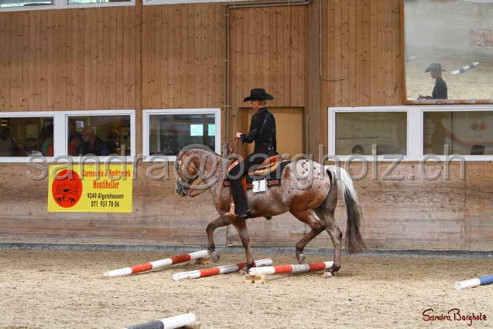 28-ApHC OT_164.jpg
